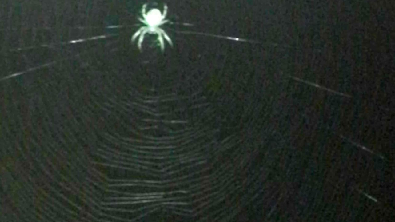 Mati (kaczytononame) Farcaster social identity (Fname handle) PFP