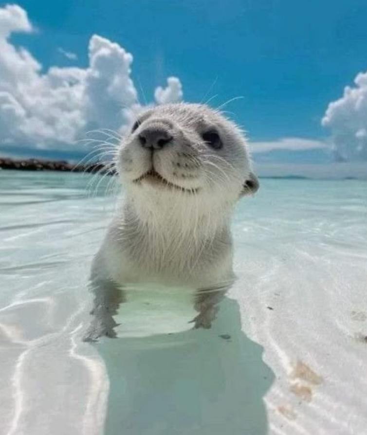 Alex (kingalex1) Farcaster social identity (Fname handle) PFP