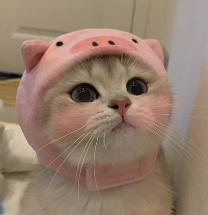 popowerd.lens Lens social identity (.lens handle) PFP