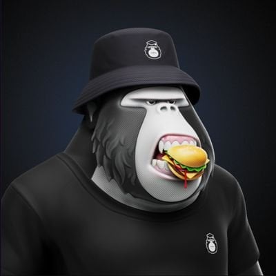 SyNc pfp