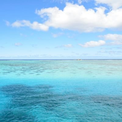 hoholka.lens Lens social identity (.lens handle) PFP