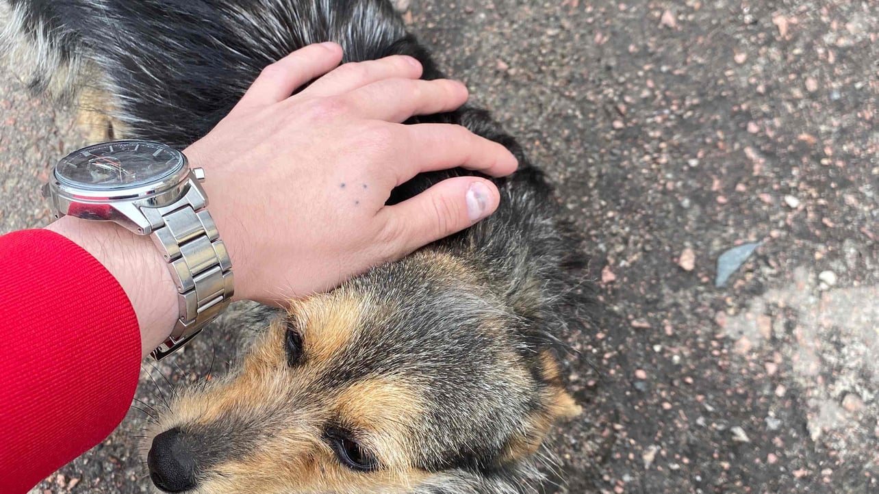 Igor (igorrrom) Farcaster social identity (Fname handle) PFP