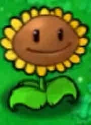 Sunflower pfp