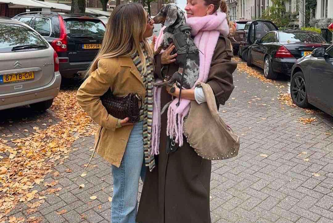 mitchell-curtis Farcaster social identity (Fname handle) PFP