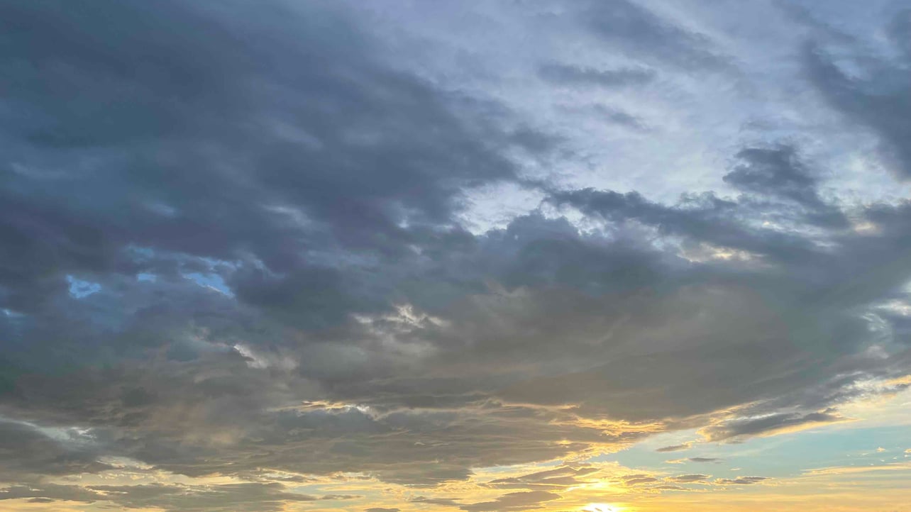 toshi (tm-mngw) Farcaster social identity (Fname handle) PFP