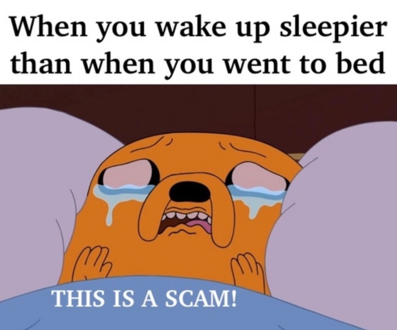 https://imagedelivery.net/BXluQx4ige9GuW0Ia56BHw/d281cdcc-988d-4dac-5f0d-055d495e9600/original