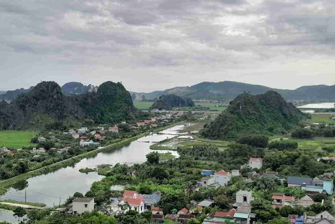 Tạ Văn Đạt pfp