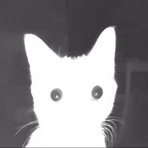 Moctx (ty00002) Farcaster social identity (Fname handle) PFP