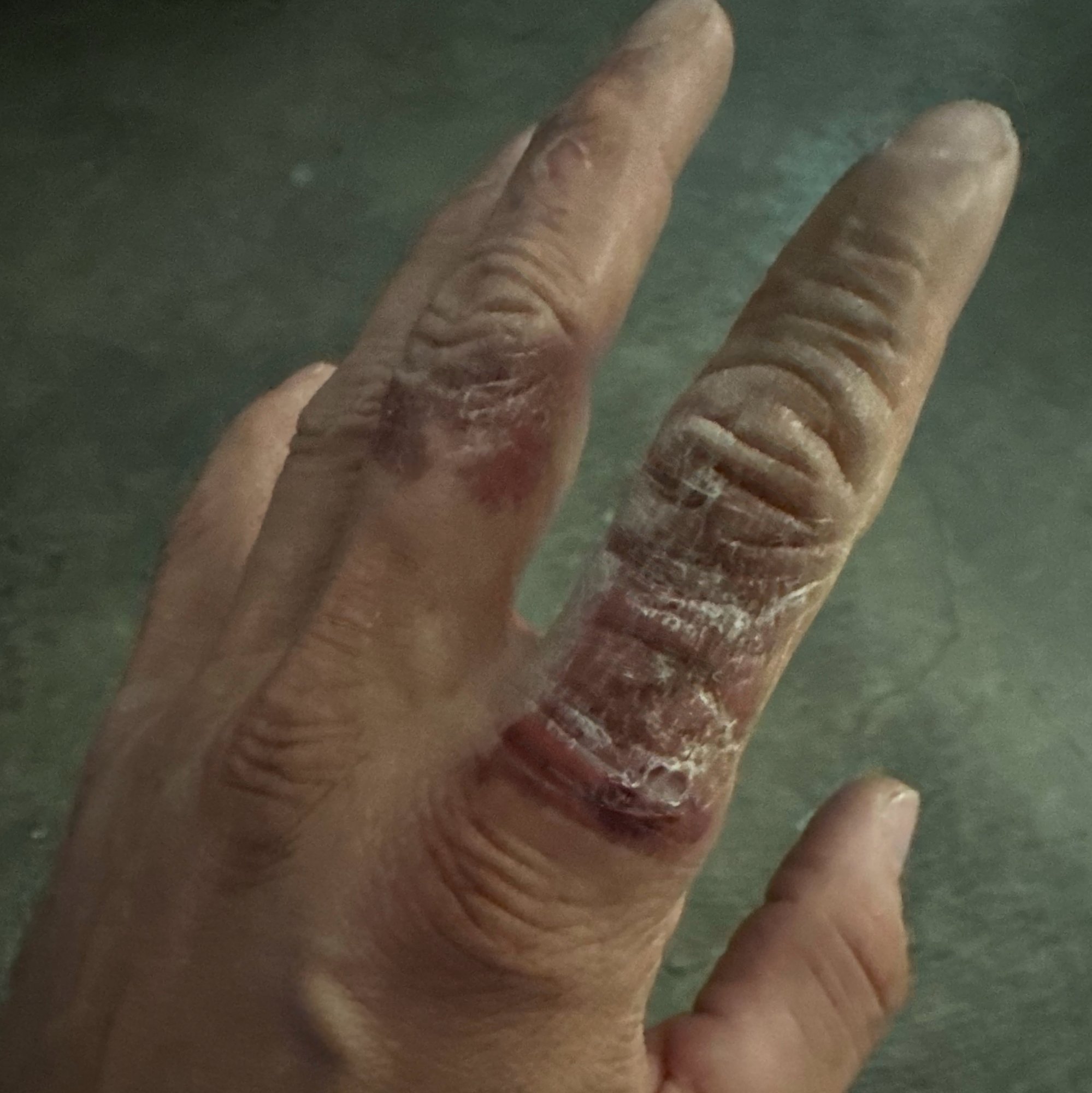 Johnny (enigmox) Farcaster social identity (Fname handle) PFP