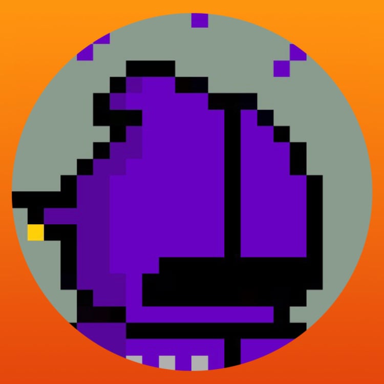 Jey pfp