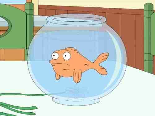 piwkonemojna.base.eth Basenames (.base.eth domains) based on ENS PFP