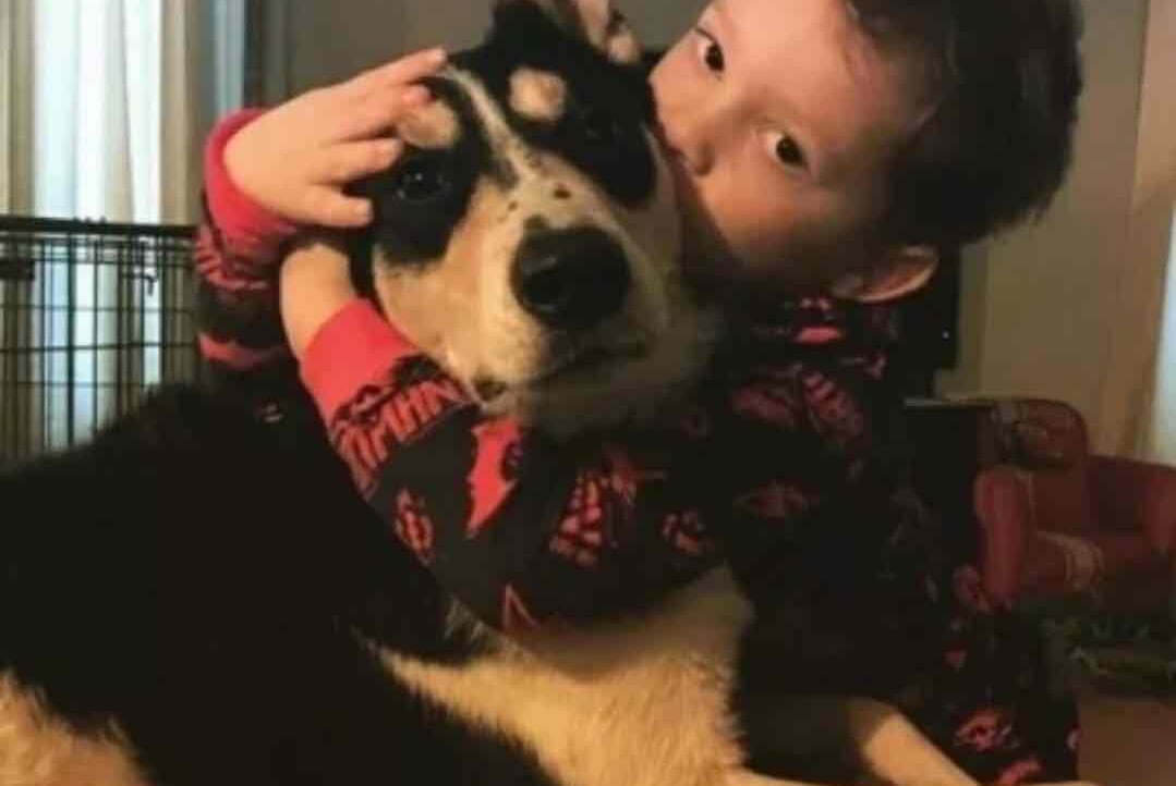 gaoxu Farcaster social identity (Fname handle) PFP