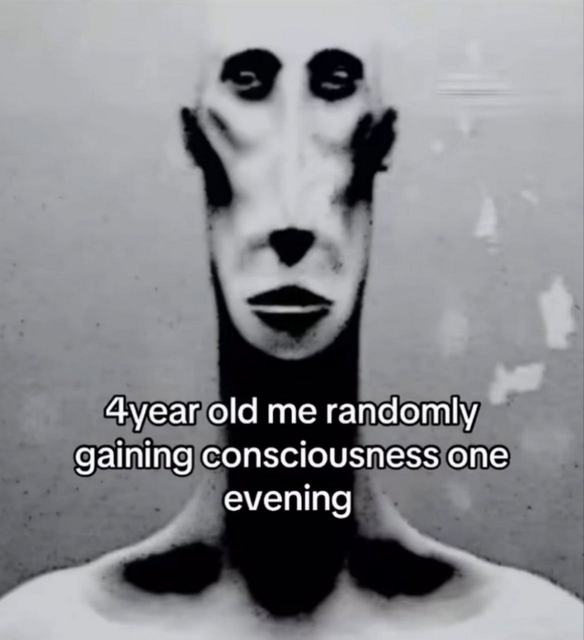 https://imagedelivery.net/BXluQx4ige9GuW0Ia56BHw/d477378d-3983-42ee-718b-446c79b73300/original