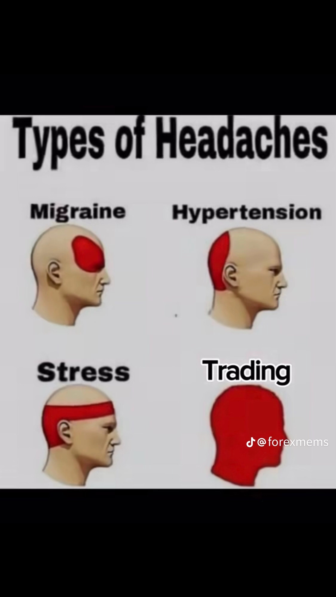 https://imagedelivery.net/BXluQx4ige9GuW0Ia56BHw/d5425971-9bb4-4883-98cf-de66774b2d00/original