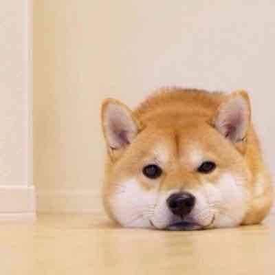 alorbosftiron Farcaster social identity (Fname handle) PFP