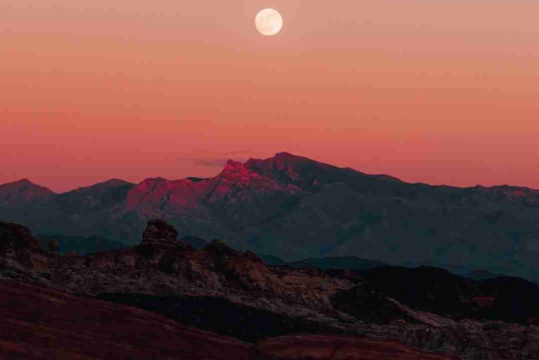 Beatrice (beatricefrench) Farcaster social identity (Fname handle) PFP