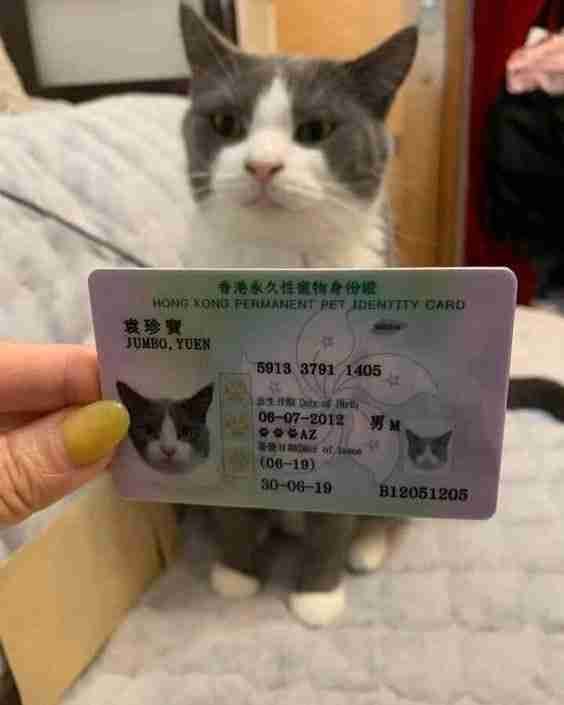 Mister 0x (user0x) Farcaster social identity (Fname handle) PFP