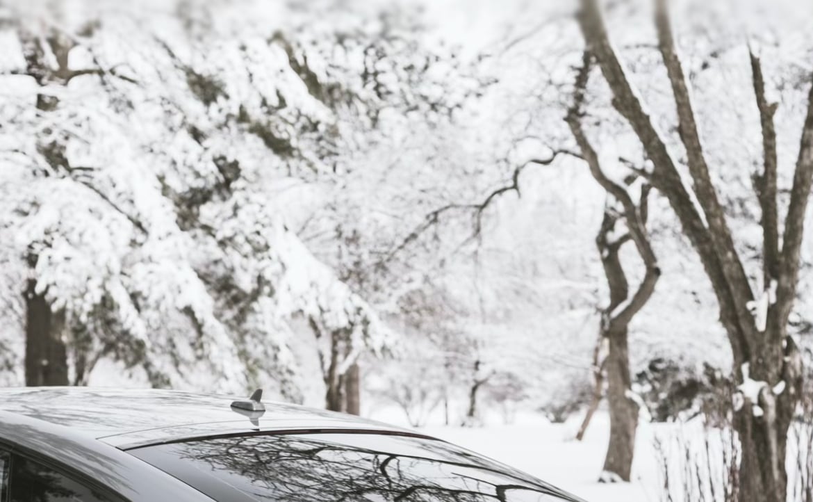 zxxzzx (zxxzzzzxx.lens) Lens social identity (.lens handle) PFP