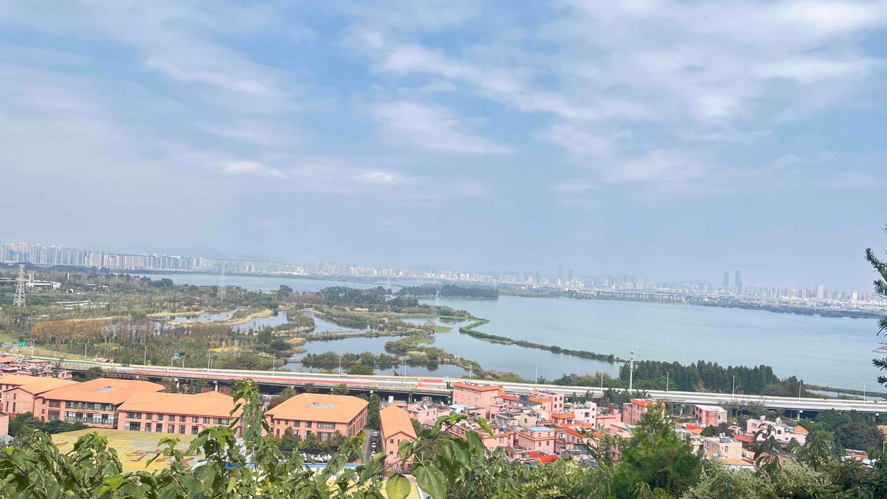 vitalk.lens Lens social identity (.lens handle) PFP