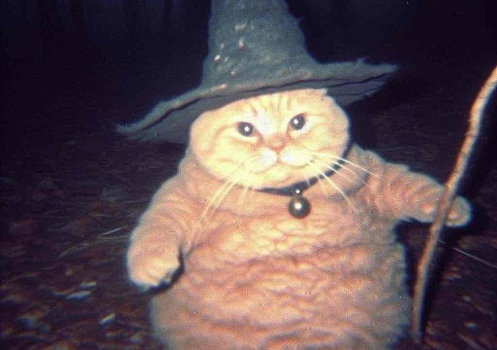 Sigh (yiw) Farcaster social identity (Fname handle) PFP