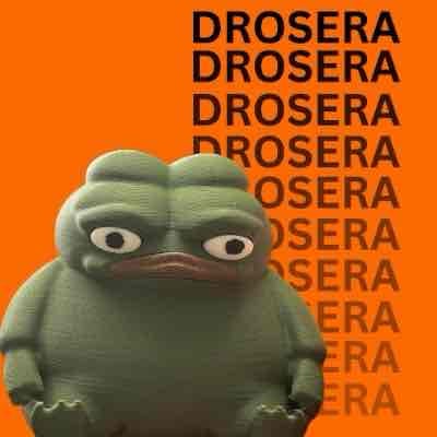 kermit pfp