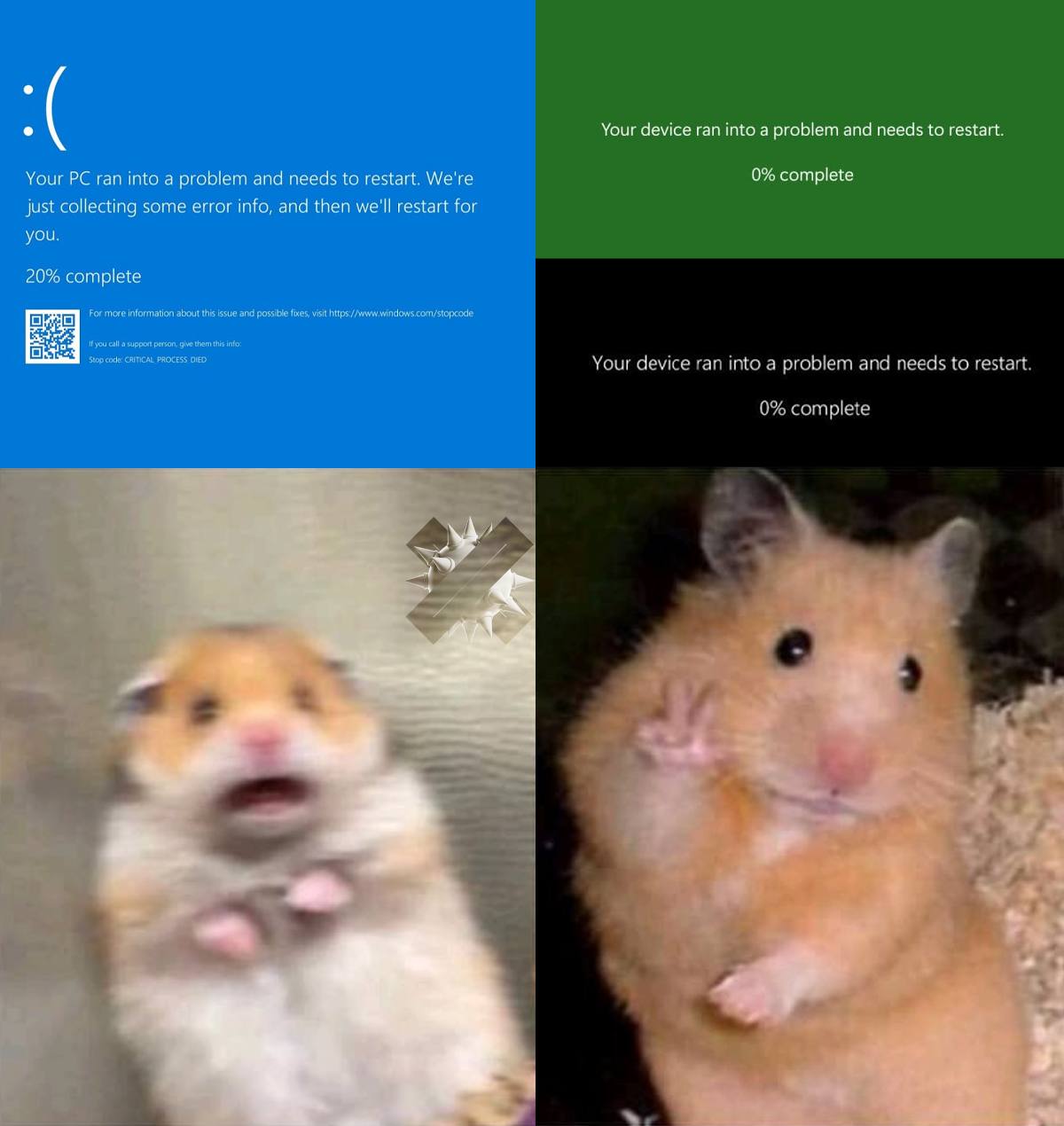 https://imagedelivery.net/BXluQx4ige9GuW0Ia56BHw/d6d64c8a-1d0b-43ff-ca8f-b98620211100/original