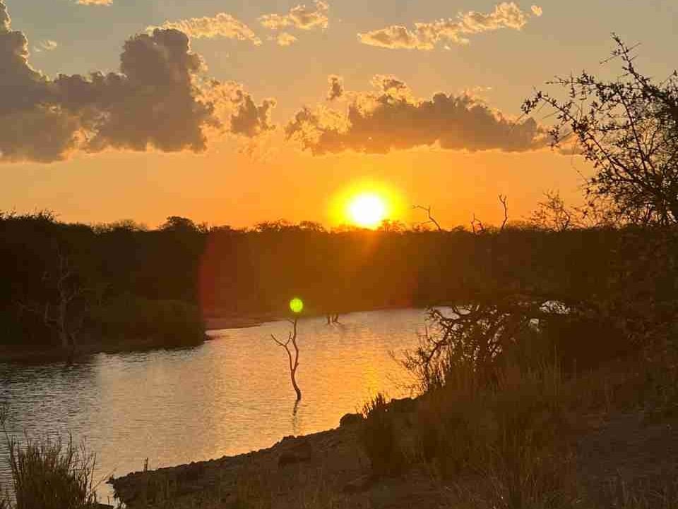 LuPe (lupebreak.lens) Lens social identity (.lens handle) PFP