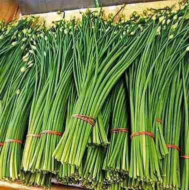 cryptobulrush Farcaster social identity (Fname handle) PFP