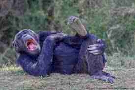 andrewayala7.lens Lens social identity (.lens handle) PFP