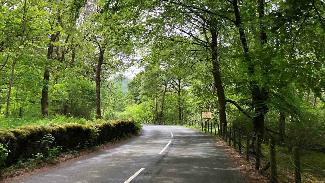 Caleb (monkeyking1212) Farcaster social identity (Fname handle) PFP