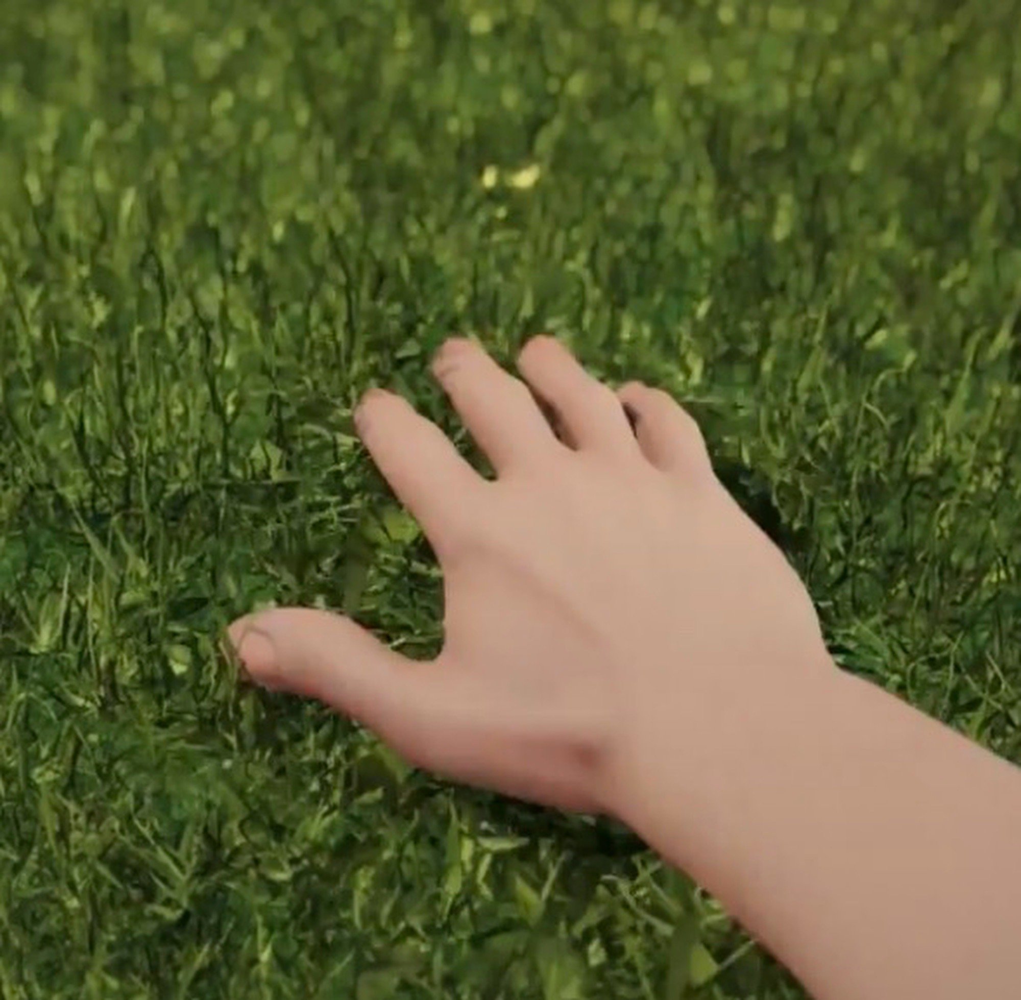 Touch Grass