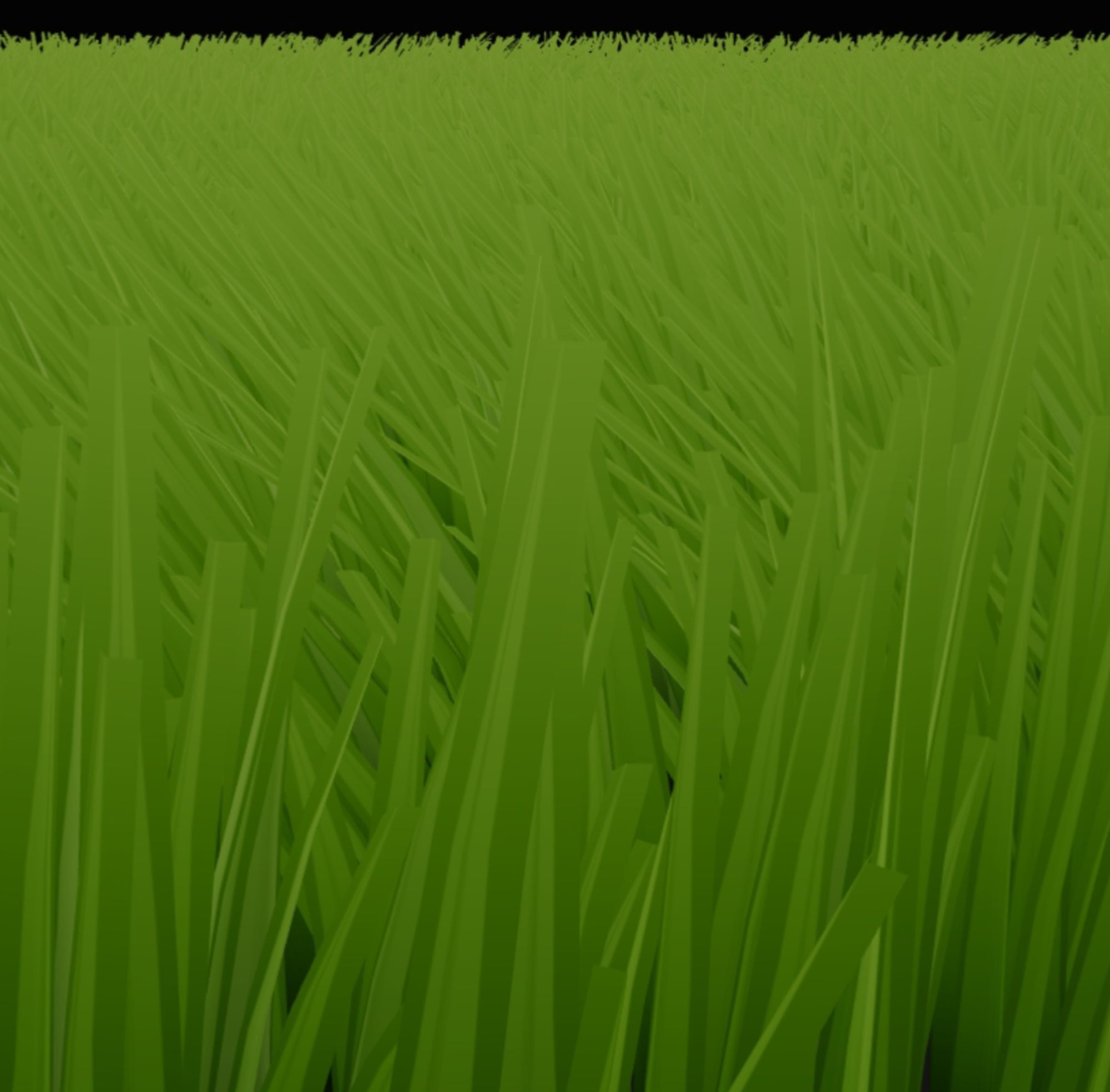 Zenith Grass