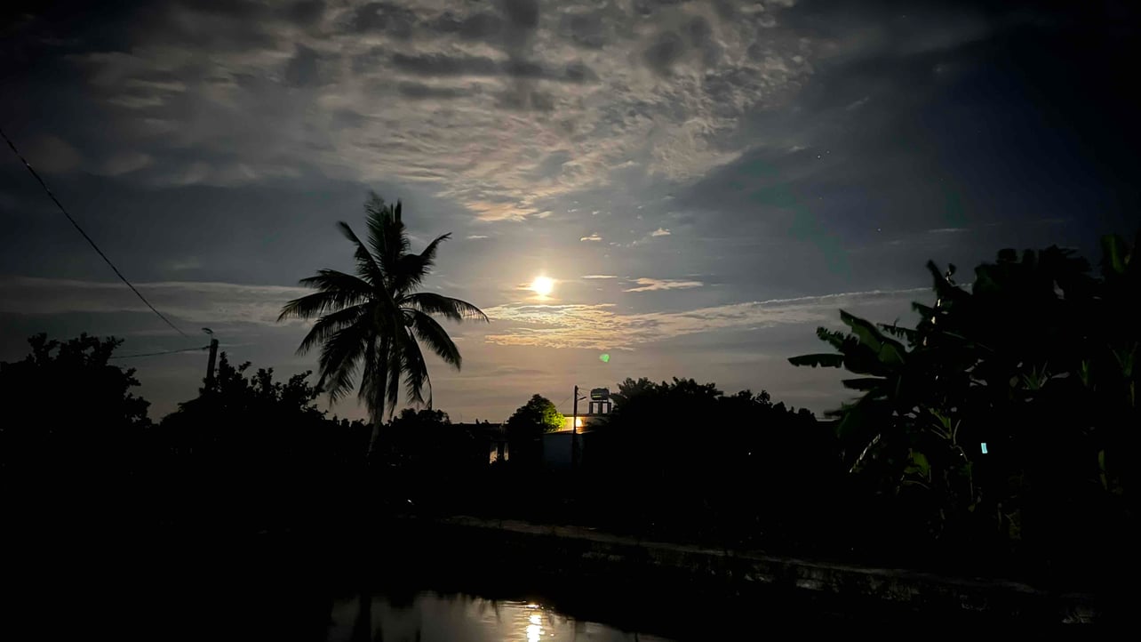 oab431 (oab431.lens) Lens social identity (.lens handle) PFP