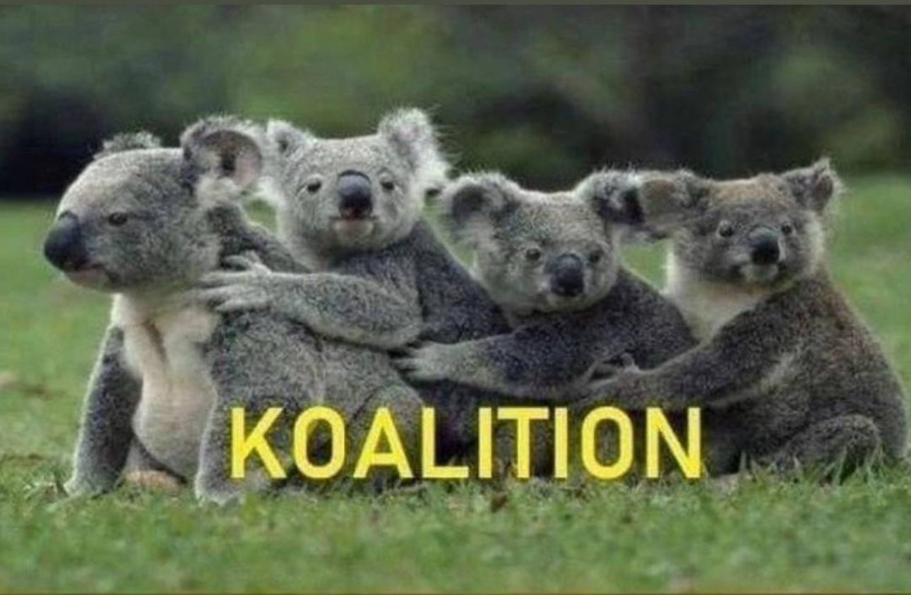 KOALITION