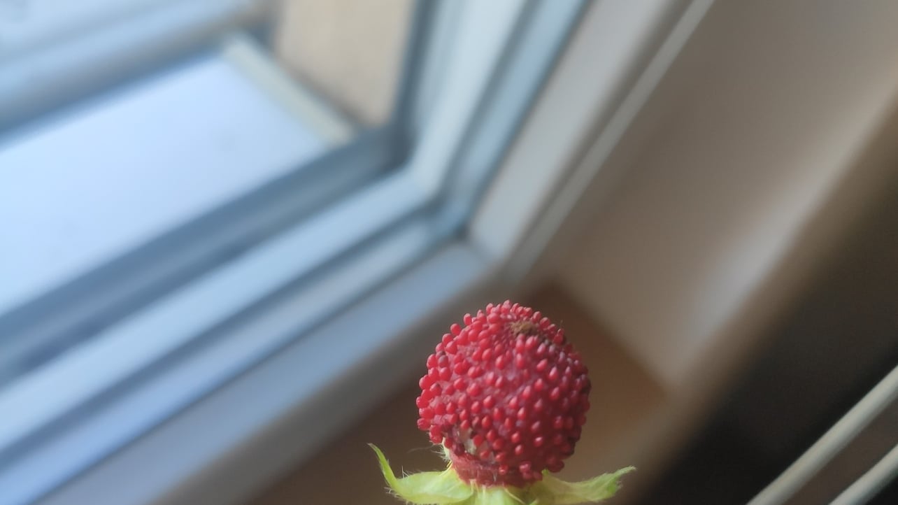 mrebre.linea.eth Linea Name Service (.linea.eth domains) based on ENS PFP