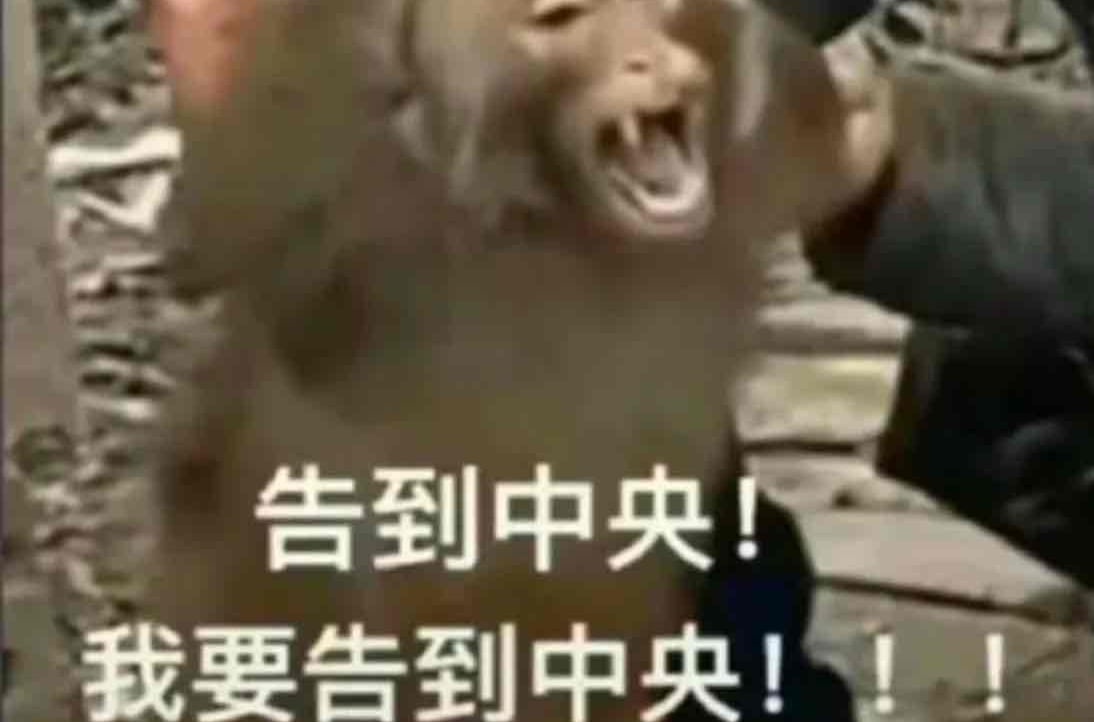 Ankalia (ankalia) Farcaster social identity (Fname handle) PFP