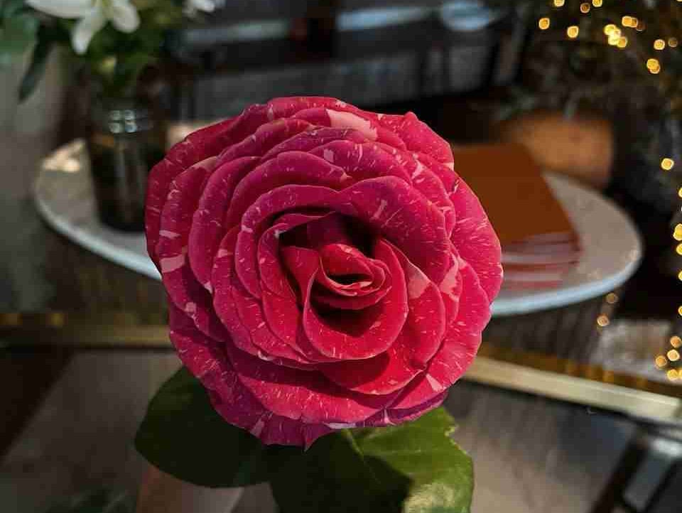 simeon77.lens Lens social identity (.lens handle) PFP