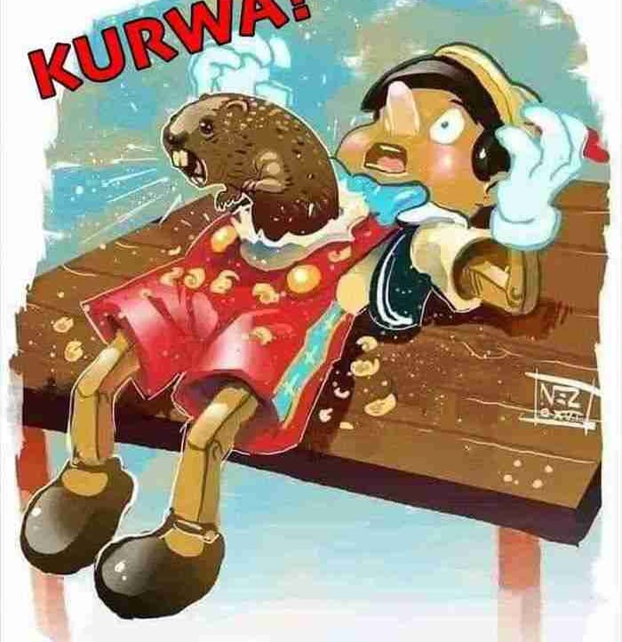 Montishe (tlbrest.lens) Lens social identity (.lens handle) PFP