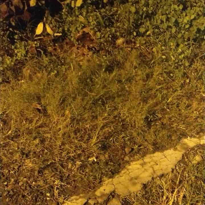 Tata (aztamira) Farcaster social identity (Fname handle) PFP