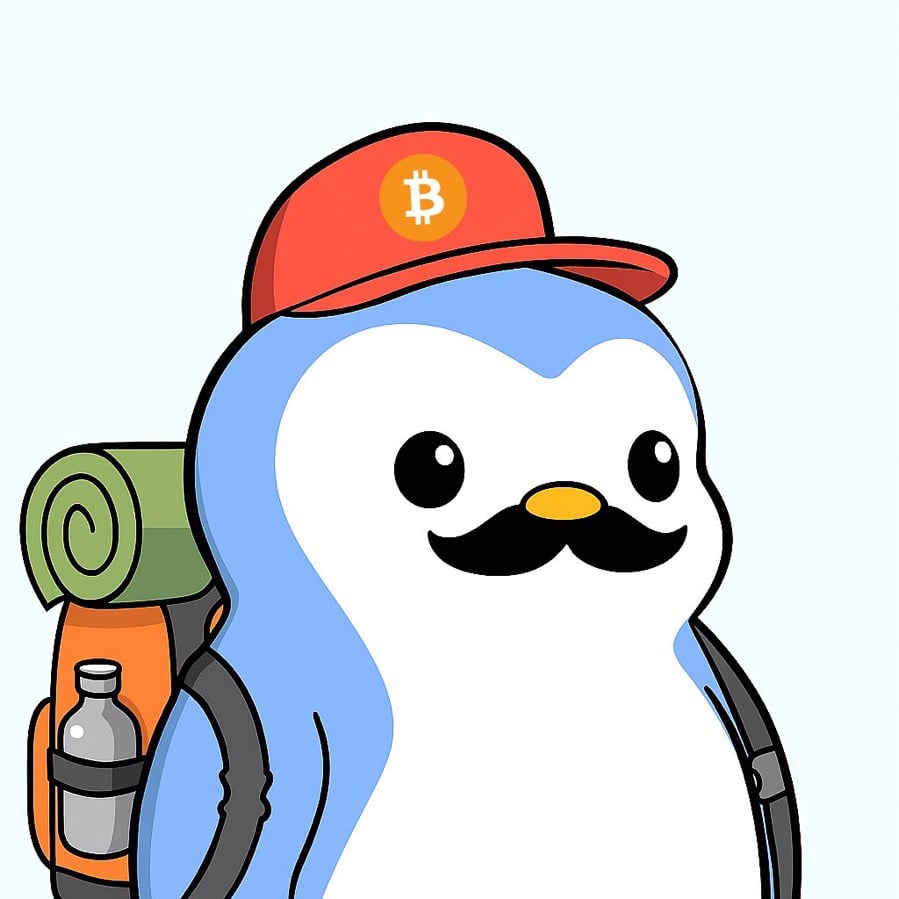 Steve pfp
