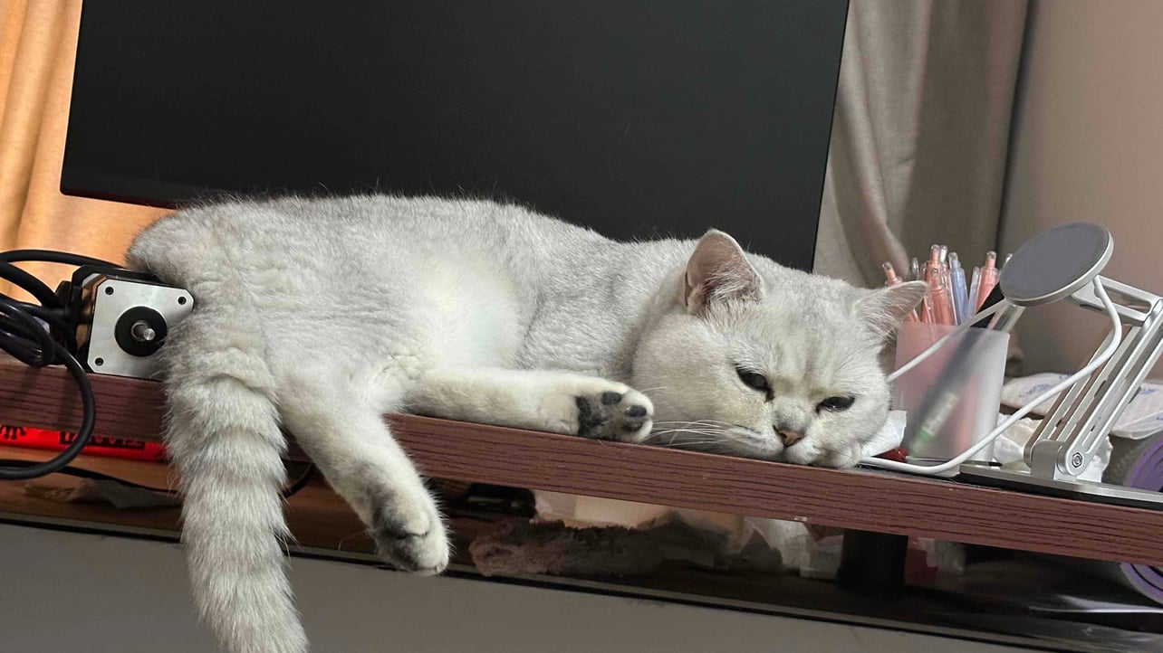 jerry 互粉必回 (jerry123412) Farcaster social identity (Fname handle) PFP