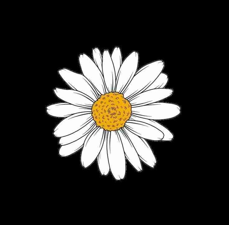 Roman Senko pfp