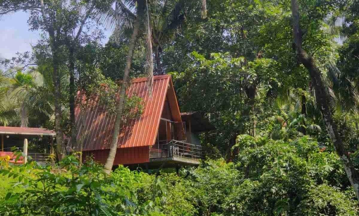 Pravind pfp
