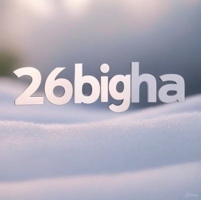 26bigha