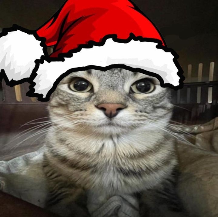 SANTA CAT