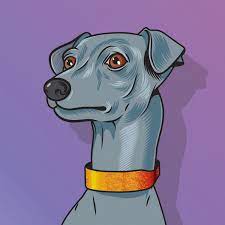 wacke.lens Lens social identity (.lens handle) PFP