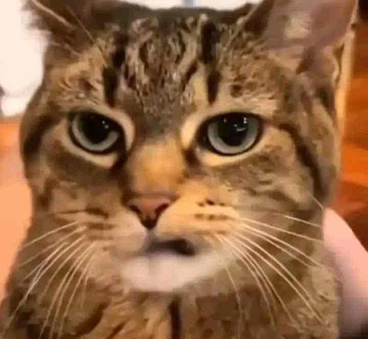 Asep Kudroy (asepkudroy) Farcaster social identity (Fname handle) PFP