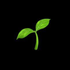 basil (propagation arc) pfp