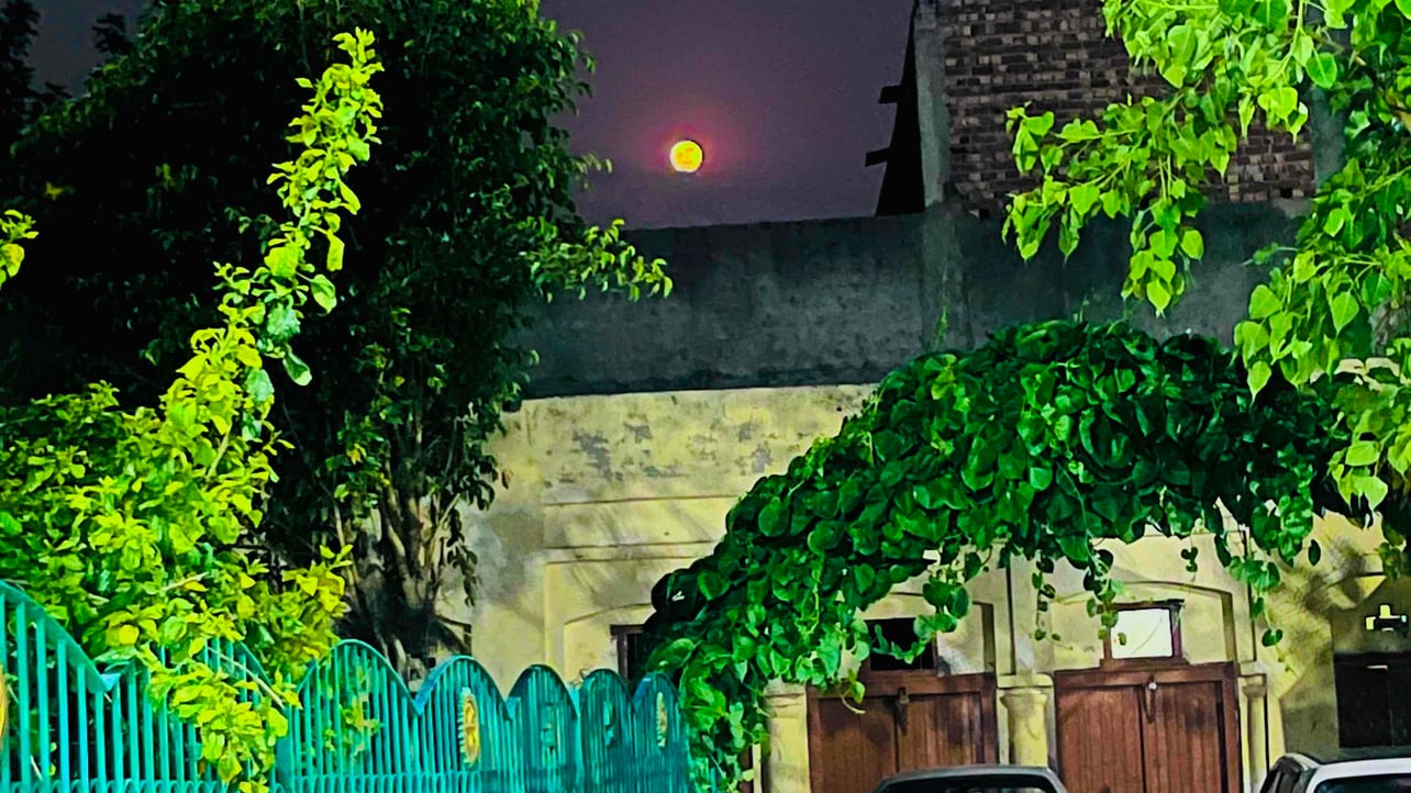 elonmusk11.lens Lens social identity (.lens handle) PFP