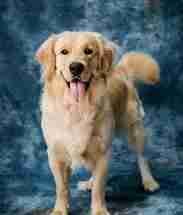 harun4343 Farcaster social identity (Fname handle) PFP